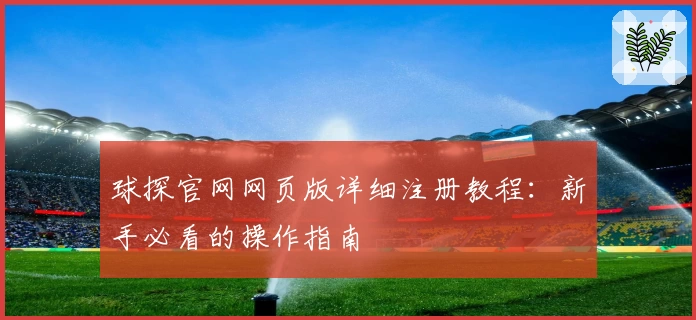 球探官网网页版详细注册教程：新手必看的操作指南