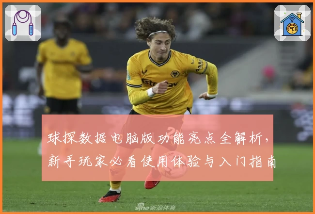 球探数据电脑版功能亮点全解析，新手玩家必看使用体验与入门指南