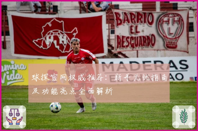 球探官网权威推荐：新手无忧指南及功能亮点全面解析