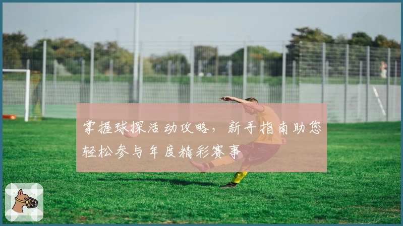 掌握球探活动攻略，新手指南助您轻松参与年度精彩赛事